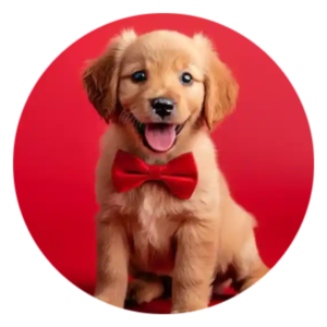 Puppy Food