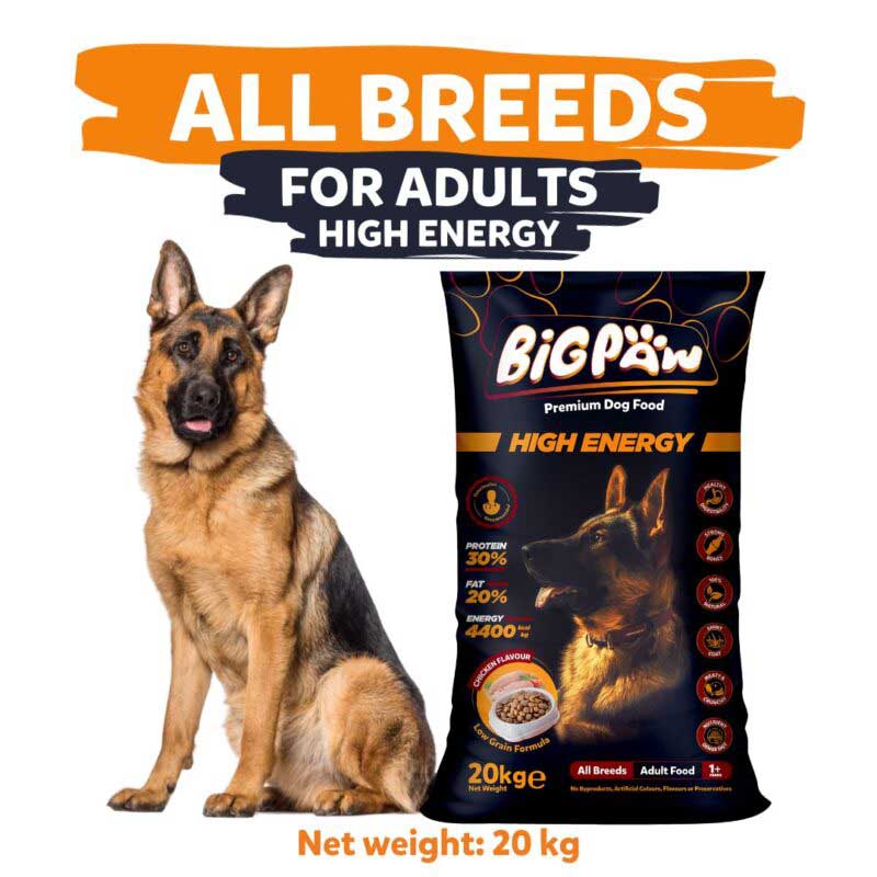 Big Paw Premium Dog Food