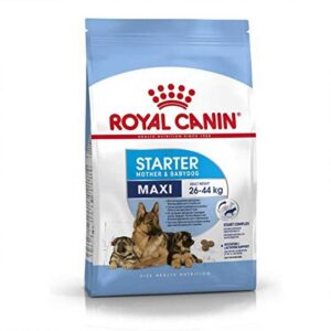 Home Royal Canin Maxi Starter (Mother and Babies) 4kg